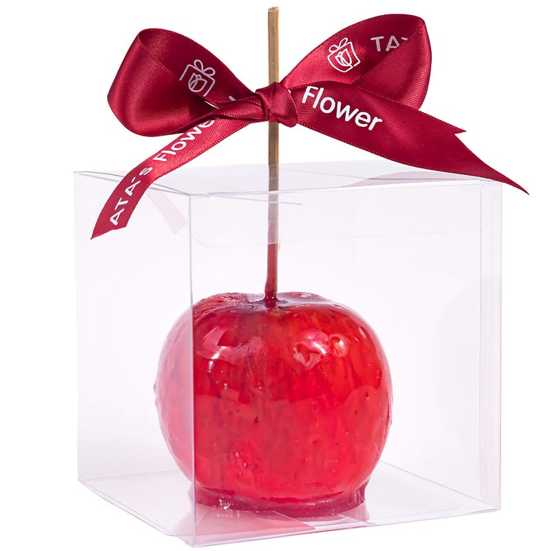 HAOHAN Clear Candy Apple Boxes with Hole 4"x 4"x 4" Transparent Favor Boxes Set of 20 Food-Grade Treat Box for Caramel Apples Cake Pops Cookies Chocolates (Clear, 20) - Image 1
